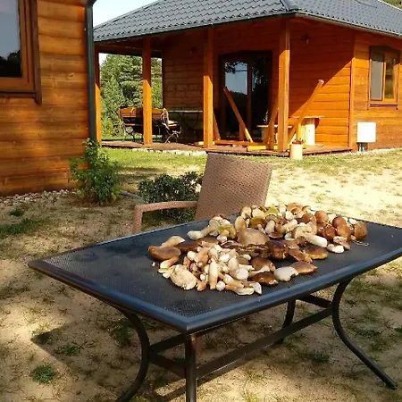 Siedlisko Pod Lasem Mrągowo