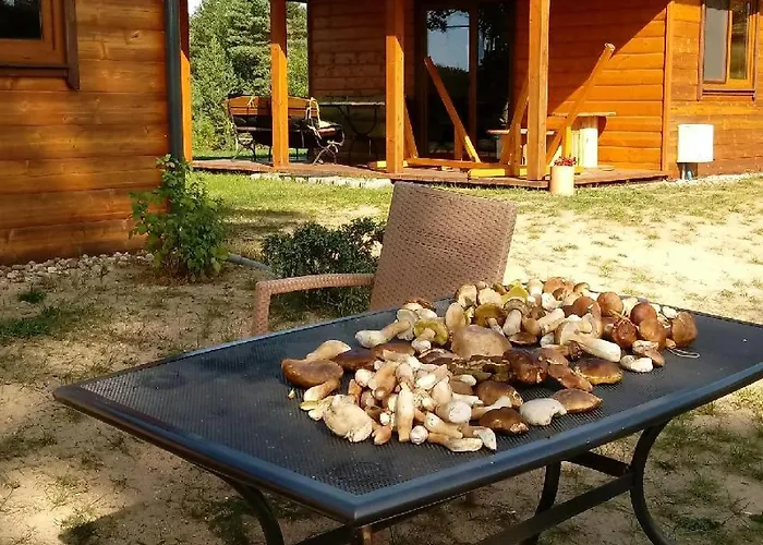 Siedlisko Pod Lasem Mragowo